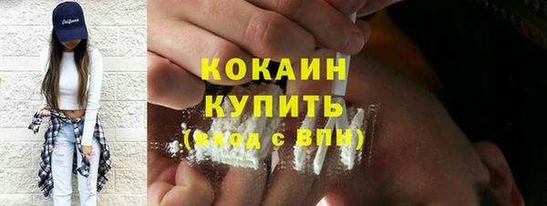 шишки Абаза