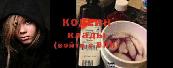 шишки Абаза