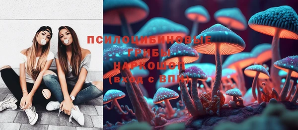 шишки Абаза
