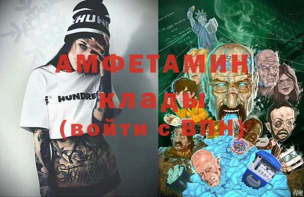 шишки Абаза