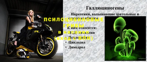 шишки Абаза