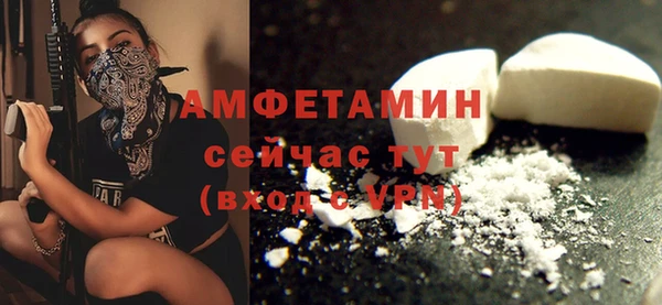 шишки Абаза