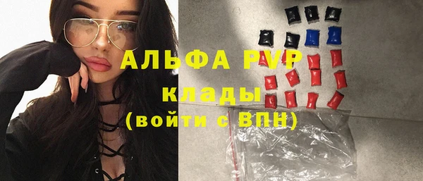шишки Абаза